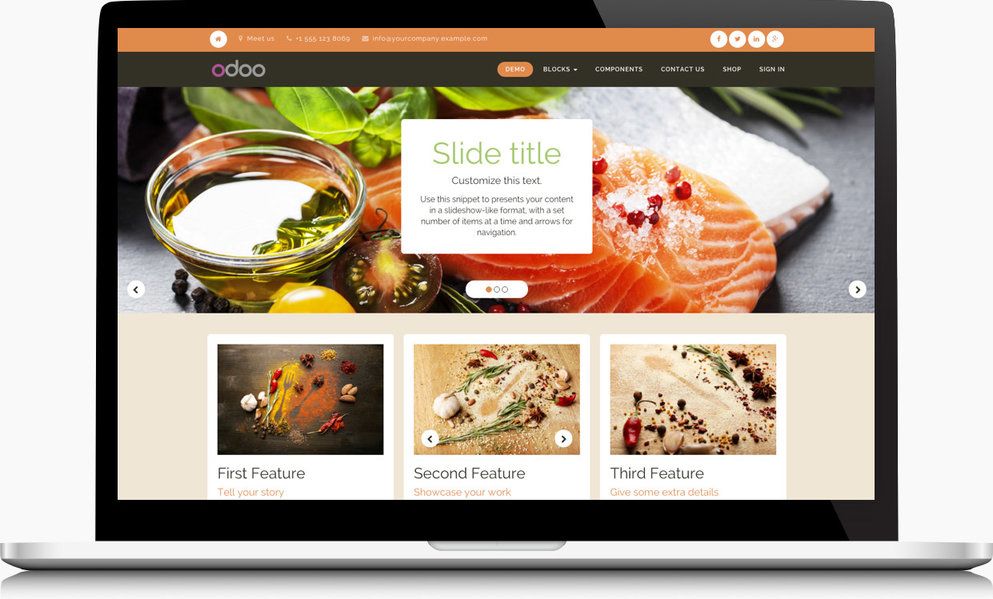 Odoo CMS - a big picture